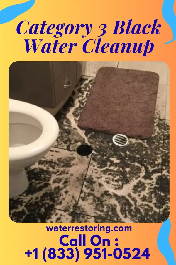 Category 3 Black Water Cleanup in Socorro, NM