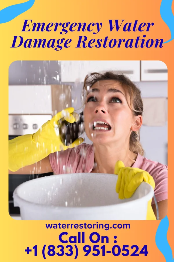 Emergency Water Damage Restoration in Socorro, NM