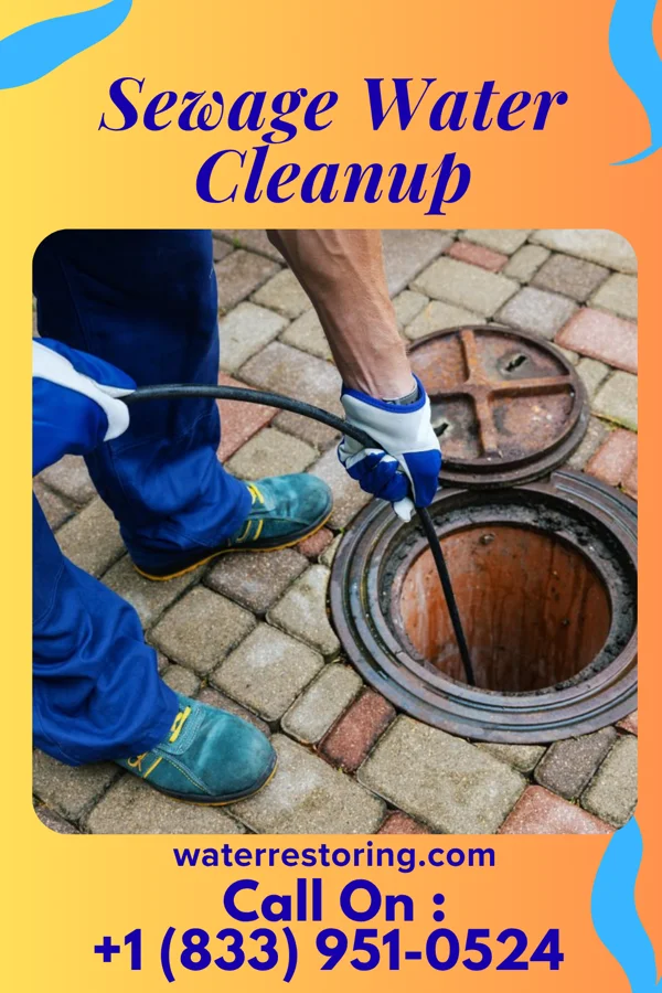 Sewage Water Cleanup in Socorro, NM